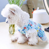 KUTKUT Sun Flowers Decor Eelgant Lace Princess Dress for Small Dogs | Sweetie Summer Skirt Dress for Shish Tzu, Pug, Poodle etc. - kutkutstyle